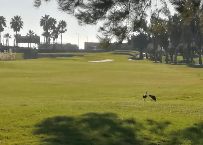 Salgados Beach&golf - Dos Salgados 公寓 *