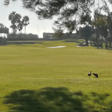 Salgados Beach&golf - Dos Salgados 아파트 *